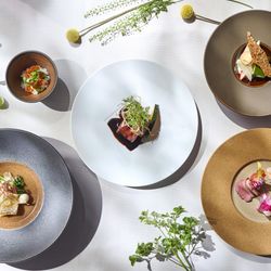 平日人気No1★*見学者好評の黒毛和牛試食×ドレス優待*桜島テラス&最新プロジェクションマッピング体験♪