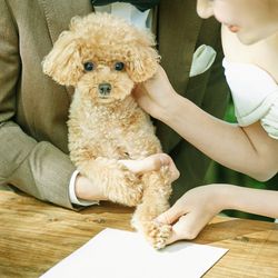 ペット婚5大優待◆平日限定ペットと個室で安心◆リングドック体験&ワンちゃん料理付♪限定試食