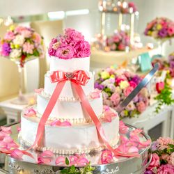 【117会員様】限定ギフトプレゼント◆プライベートW×クルージング見学×スイーツ試食