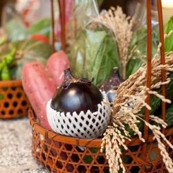 響 丸の内の料理・ウェディングケーキ写真13枚目