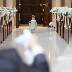 大切なペットも一緒に♪結婚式まるわかり相談会