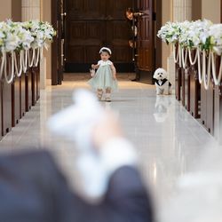 ☆人前式でオリジナルウエディング☆～挙式スタイル相談会～