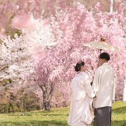 和装も洋装も◎大人気の桜でロケーション撮影 相談会