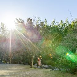 アマンダンライズの写真1枚目