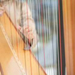 ザ・ガーデンオリエンタル大阪の写真34枚目