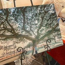 ラソールガーデン大阪の写真14枚目