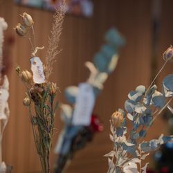 ララシャンス岡崎迎賓館の写真17枚目