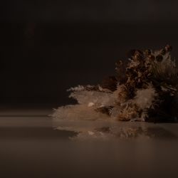 ララシャンス岡崎迎賓館の写真25枚目