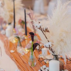 ララシャンス岡崎迎賓館の写真12枚目