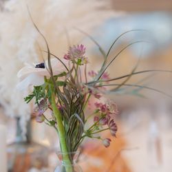 ララシャンス岡崎迎賓館の写真2枚目