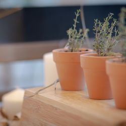 ララシャンス岡崎迎賓館の写真3枚目