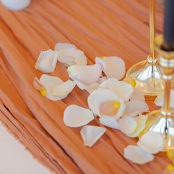 ララシャンス岡崎迎賓館の写真22枚目