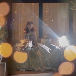 ララシャンス岡崎迎賓館の写真33枚目