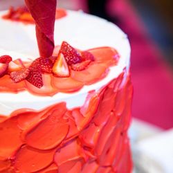 ザ・コンダーハウスの写真24枚目