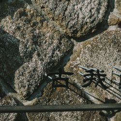 古我邸の写真18枚目