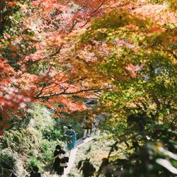 古我邸の写真4枚目