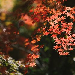 古我邸の写真14枚目
