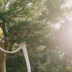 古我邸の写真31枚目