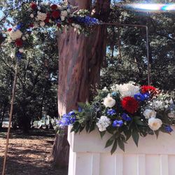 HANDSOME bot GARDENの写真10枚目