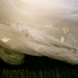 ザ・カワブンナゴヤの写真31枚目