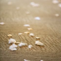 ザ・カワブンナゴヤの写真13枚目