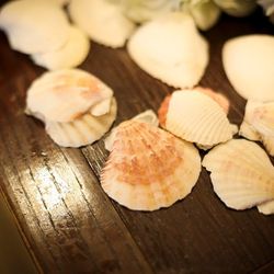 センティール・ラ・セゾン 函館山の写真15枚目