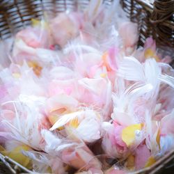 ノートルダム神戸の写真4枚目