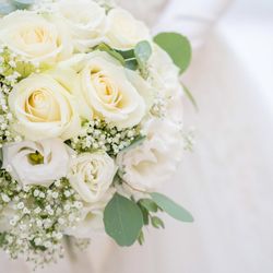 KOTOWA 奈良公園 Premium Viewの写真29枚目