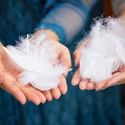 KOTOWA 奈良公園 Premium Viewの写真17枚目