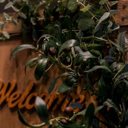 ザ・ピーク プレミアムテラスの写真3枚目