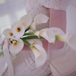 コンラッド東京の写真30枚目