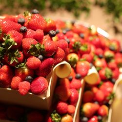 コンラッド東京の写真26枚目