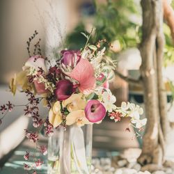 SOLA KOBEの写真10枚目