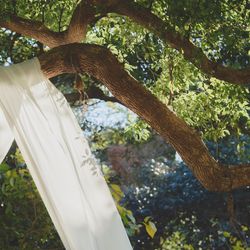 古我邸の写真18枚目