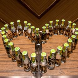 ザ・ベイスイート 桜島テラスの写真36枚目