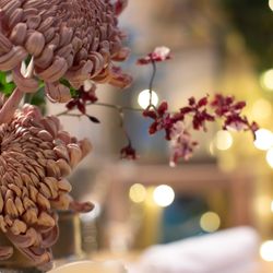 ザ・ガーデンオリエンタル大阪の写真31枚目