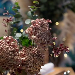 ザ・ガーデンオリエンタル大阪の写真26枚目