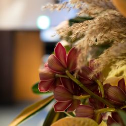 ザ・ガーデンオリエンタル大阪の写真3枚目