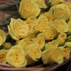 ハートコート横浜の写真2枚目