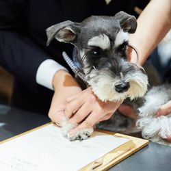 TRUNK HOTELの写真35枚目