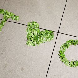 TRUNK HOTELの写真11枚目