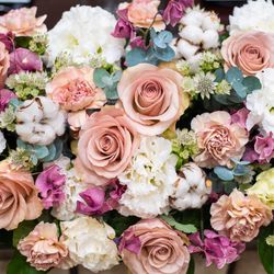 カサ・デ・アンジェラ青山の写真1枚目