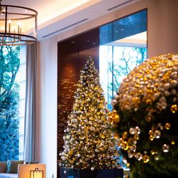 パレスホテル東京の写真13枚目