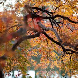 パレスホテル東京の写真26枚目