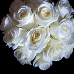 パレスホテル東京の写真20枚目