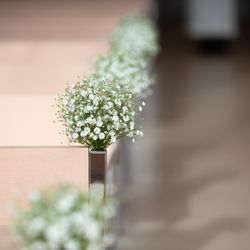 パレスホテル東京の写真22枚目