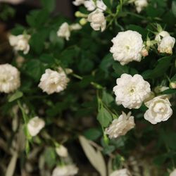 ニーズ青山 by T&G WEDDING の写真21枚目