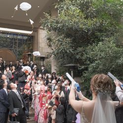 アルタビスタ ガーデンの写真33枚目