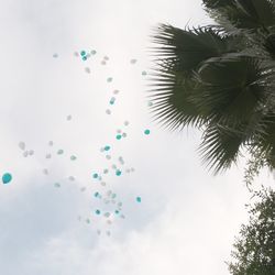 アルタビスタ ガーデンの写真23枚目