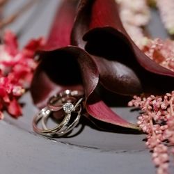 菊水楼の写真14枚目